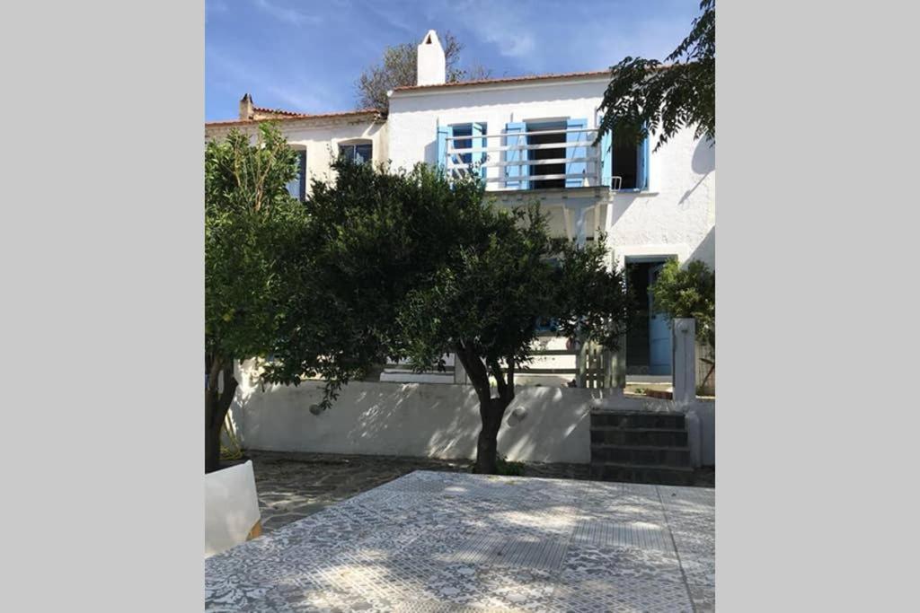 Chariklia Traditional House Alónnisos 外观 照片